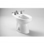 Toto BT500B Piedmont Series Vertical Spray Bidet with Four Holes for Faucet and Vacuum Breaker